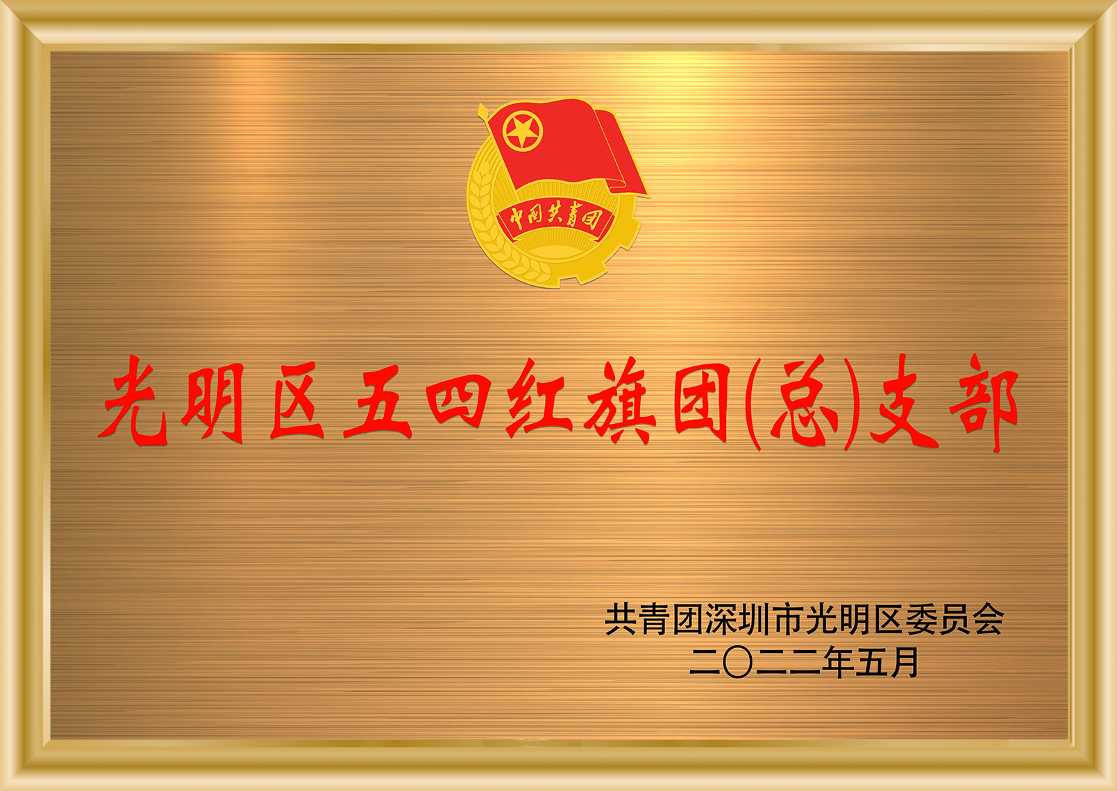 光明区五四红旗团总支部 Stake(中国区)官方网站